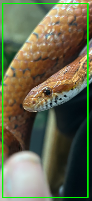 terrarium samenpreciesgoed.png